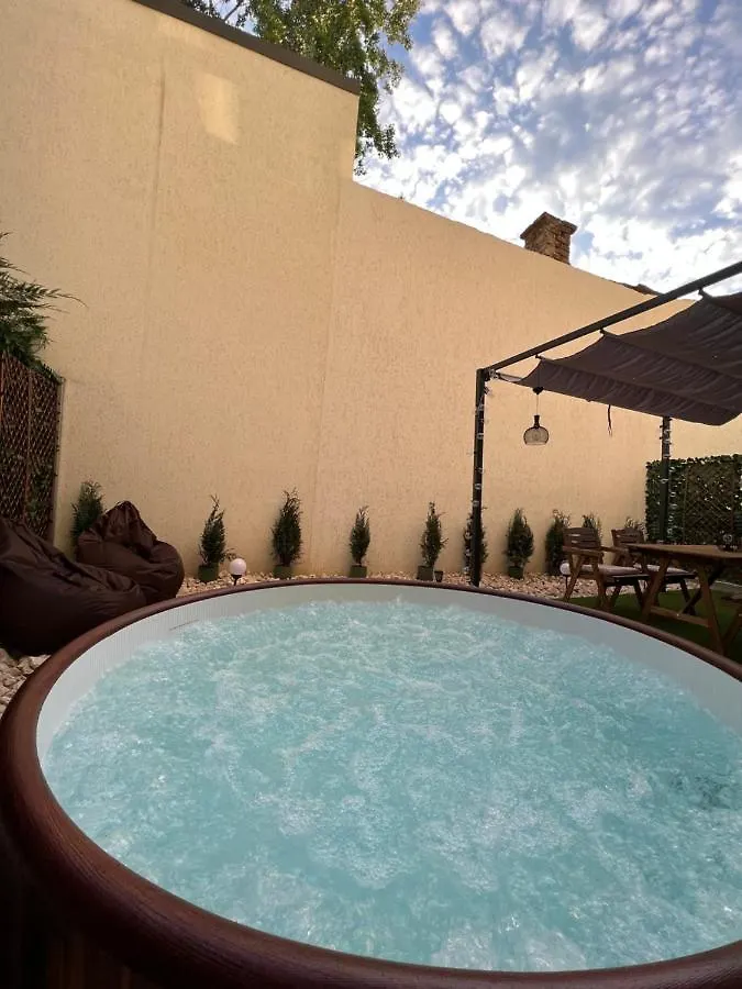 Downtown Hidden Garden With Jacuzzi In Bucharest Apartment