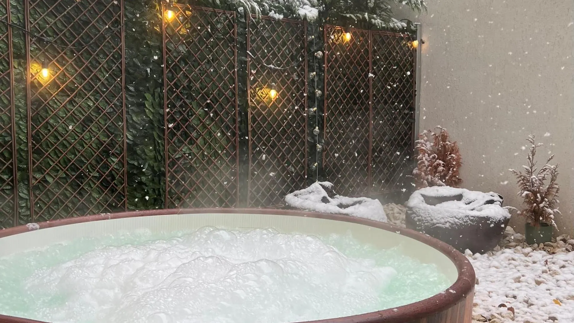 Downtown Hidden Garden With Jacuzzi In Bucharest contacts